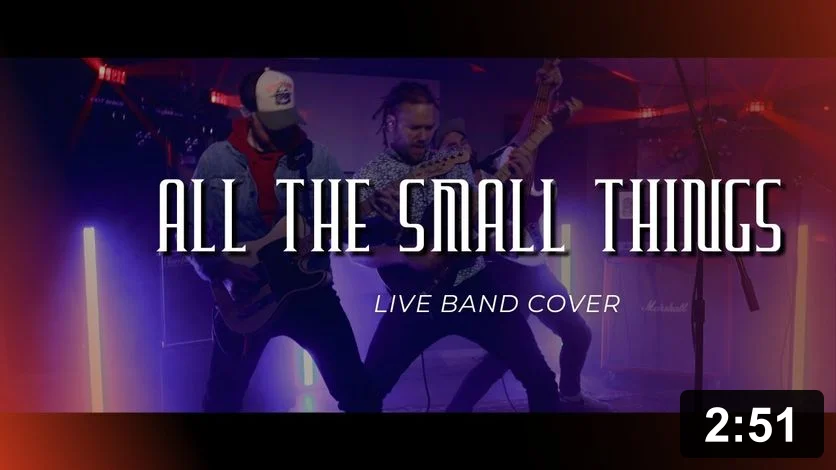 All The Small Things — Blink 182